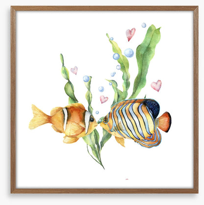 Seaweed sentiment