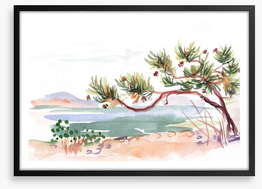 Pine by the sea