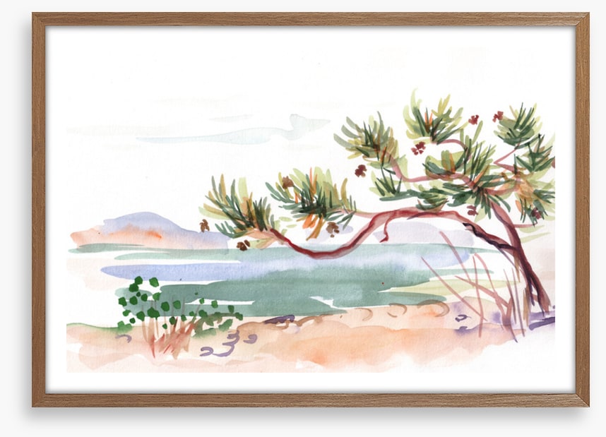 Pine by the sea