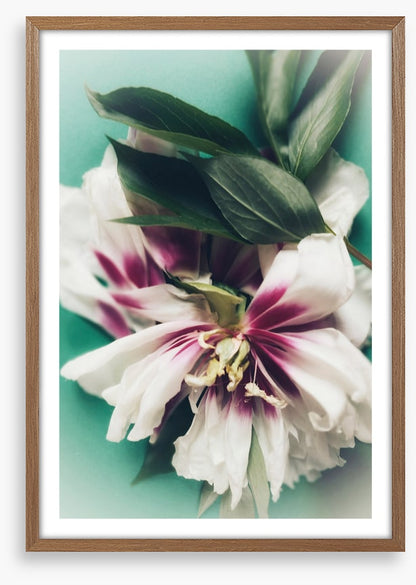 Last bloom