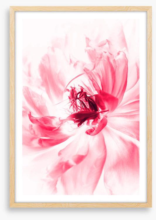 Bloom boom