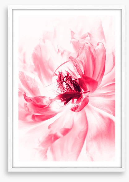 Bloom boom
