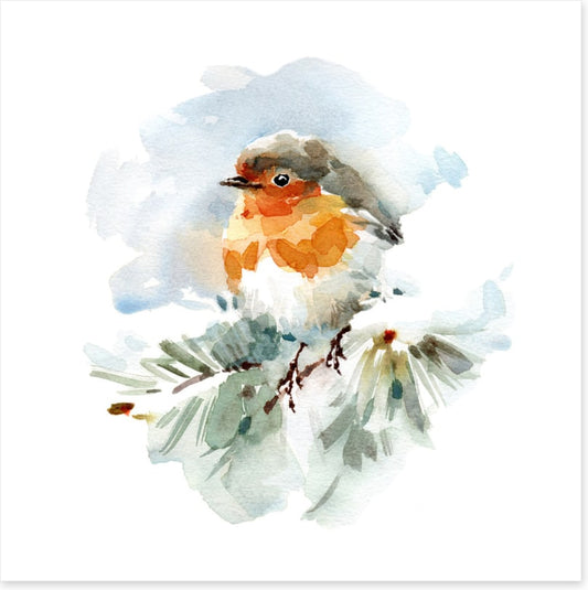 Robin in the snow