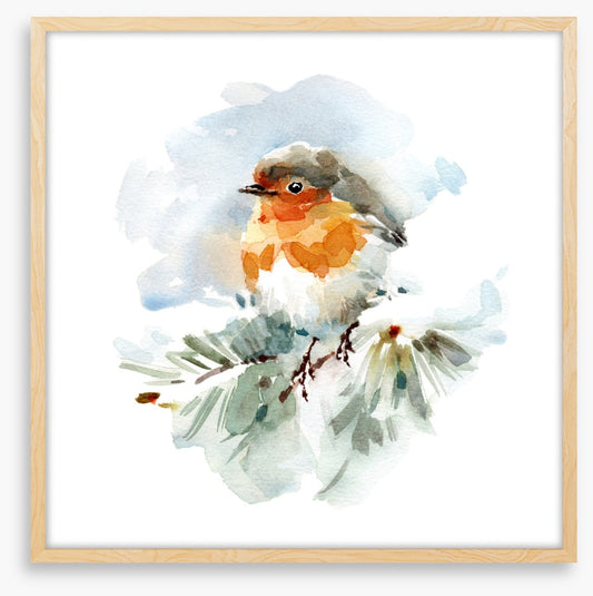 Robin in the snow
