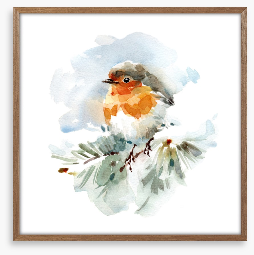 Robin in the snow