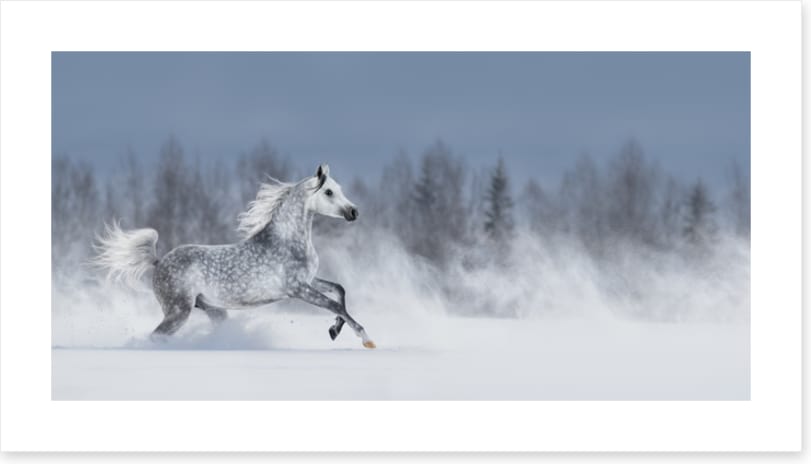 Powder run