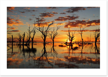 Lake Menindee mirror