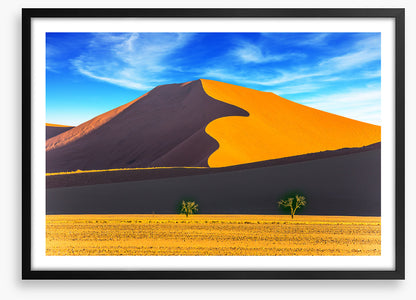 Dunes of light and shadow