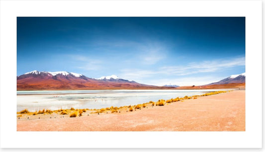 South America