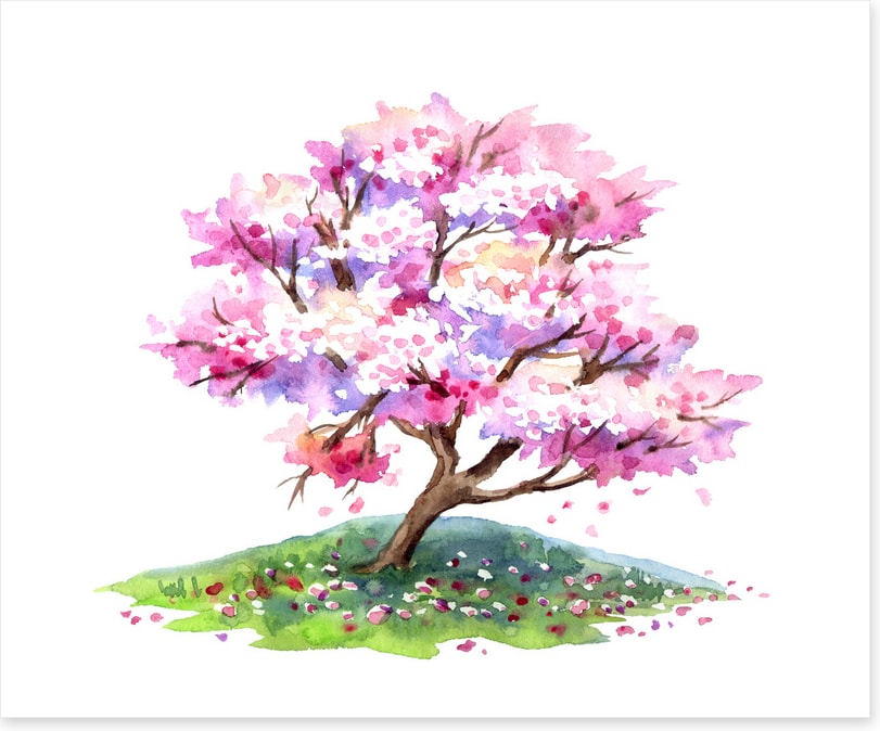 Cherry tree hill