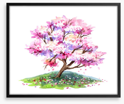 Cherry tree hill