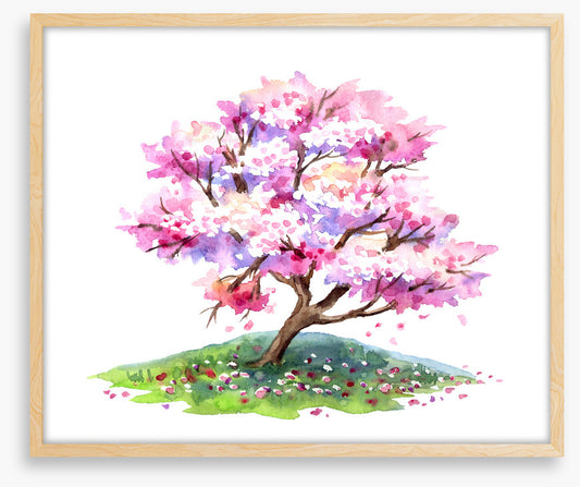 Cherry tree hill