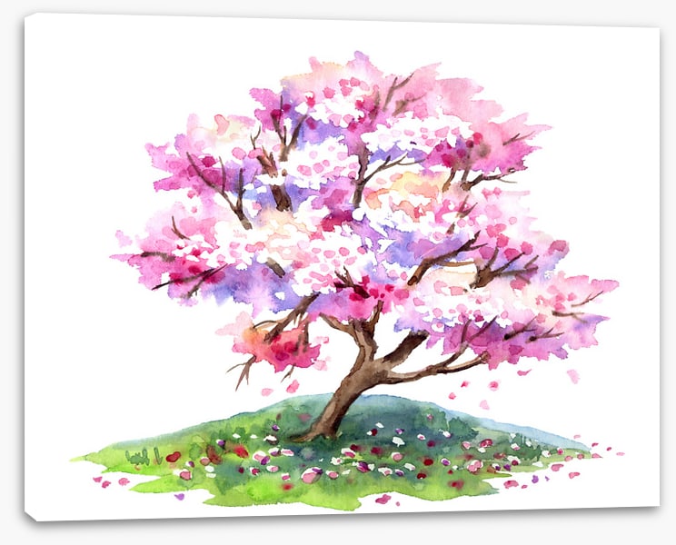 Cherry tree hill