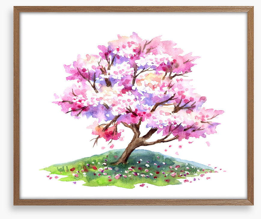 Cherry tree hill