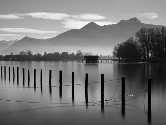 Stillness and shadows