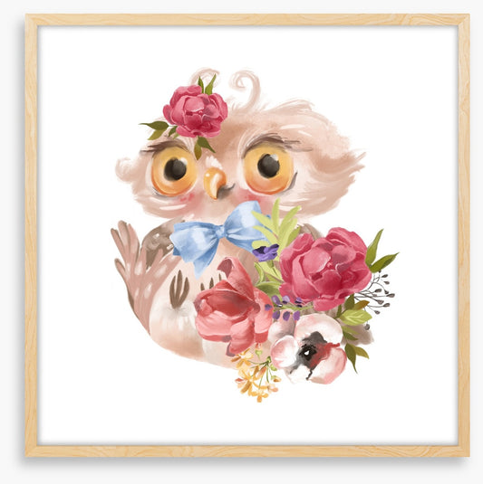 Flower owl fall 1