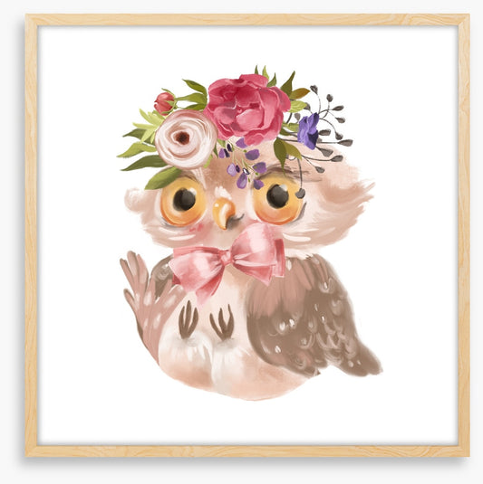 Flower owl fall 2