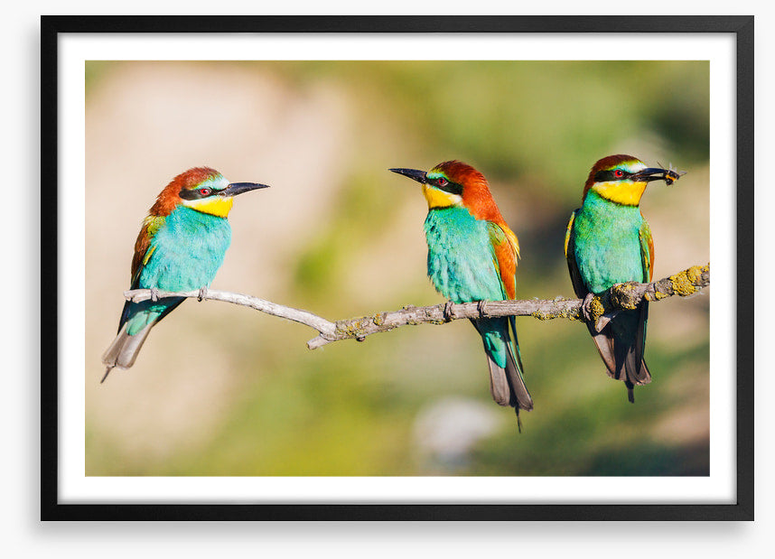 Three on the tree