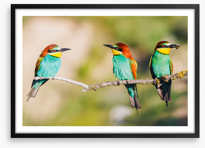 Three on the tree