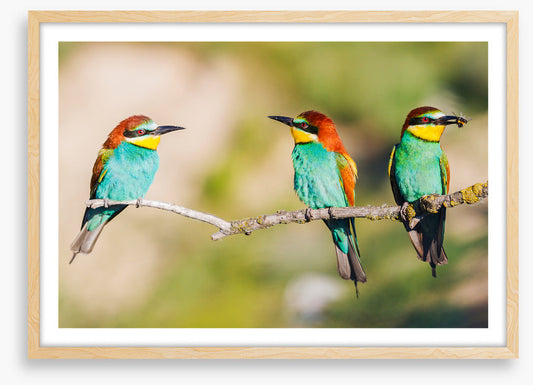 Three on the tree