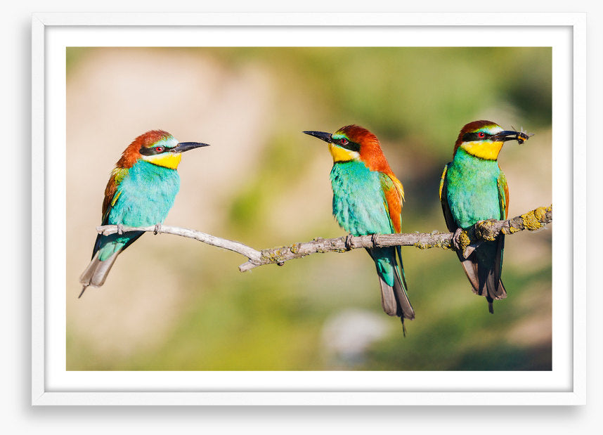 Three on the tree
