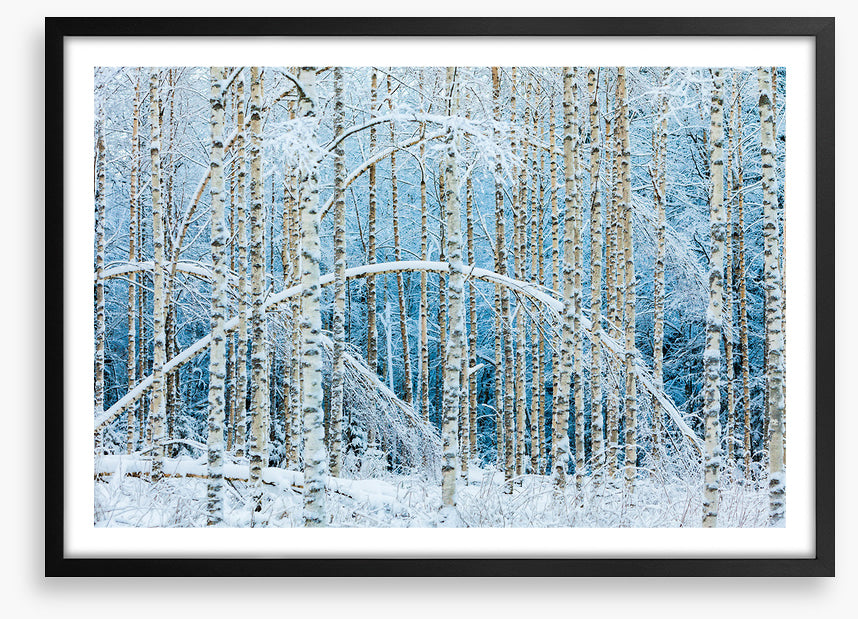 Arctic arches