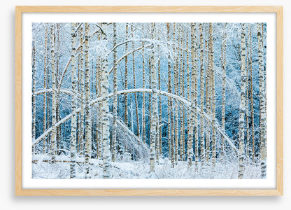 Arctic arches
