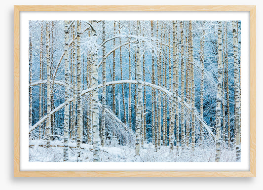 Arctic arches