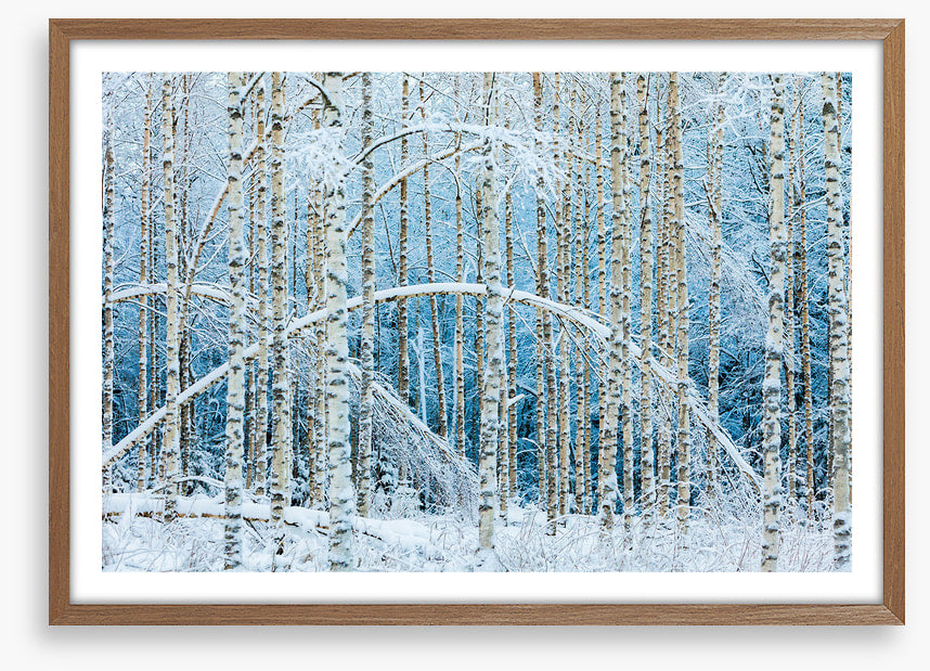 Arctic arches