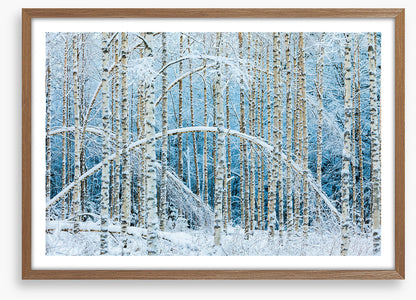 Arctic arches