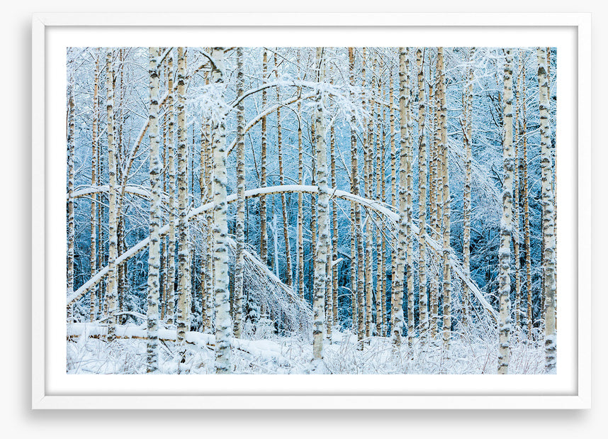 Arctic arches