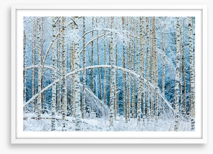Arctic arches