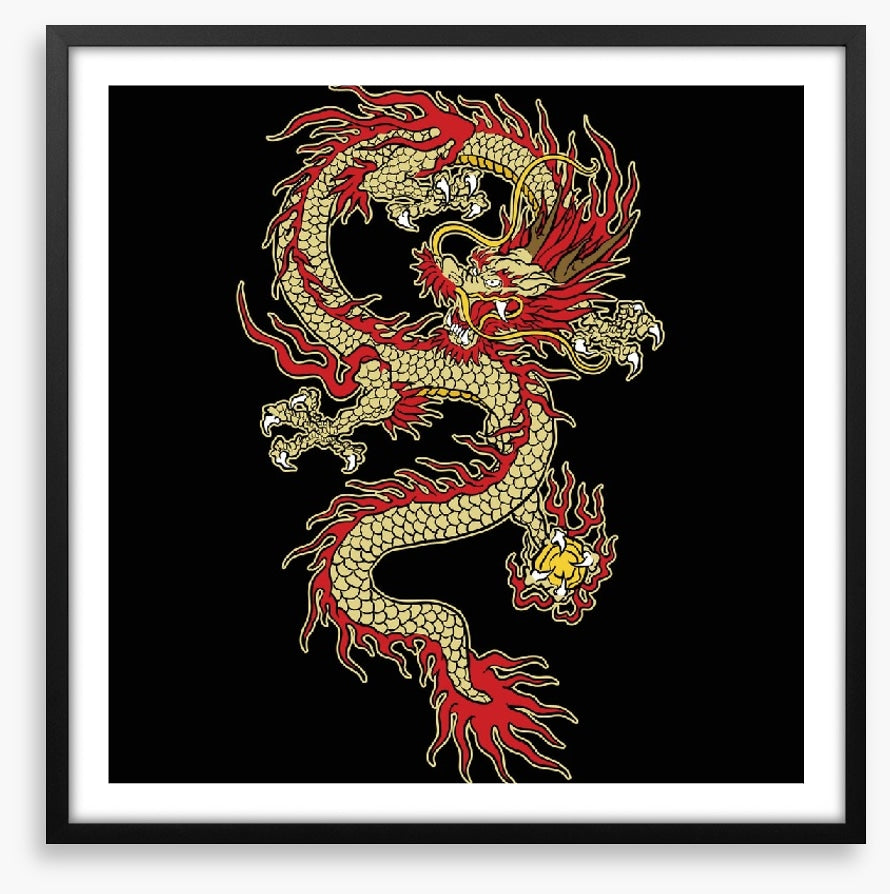 Dragons