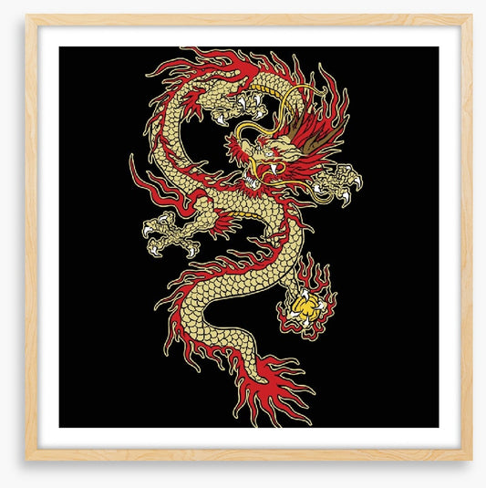 Dragons