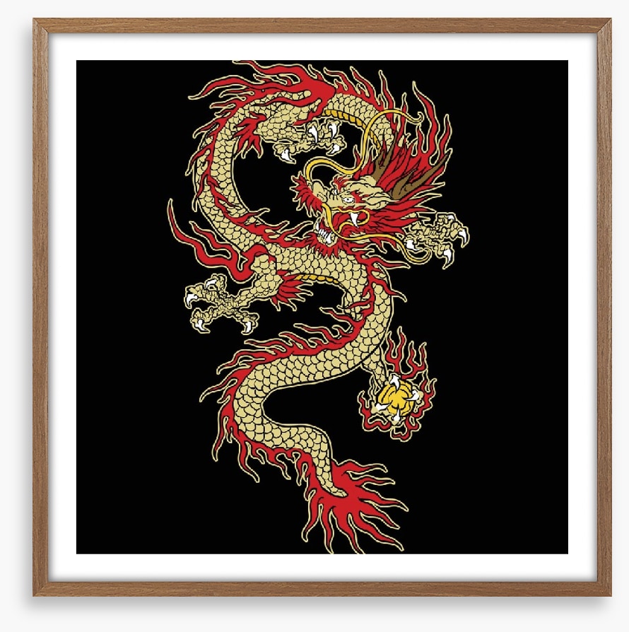 Dragons
