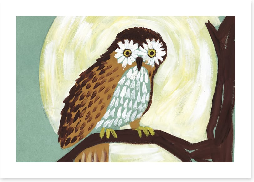 Birds