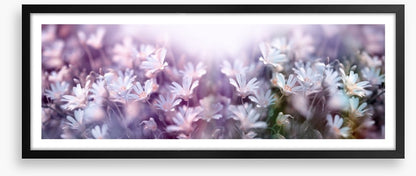Spring begins panorama