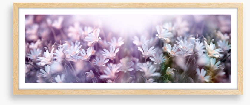 Spring begins panorama