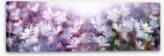 Spring begins panorama