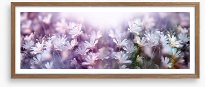 Spring begins panorama
