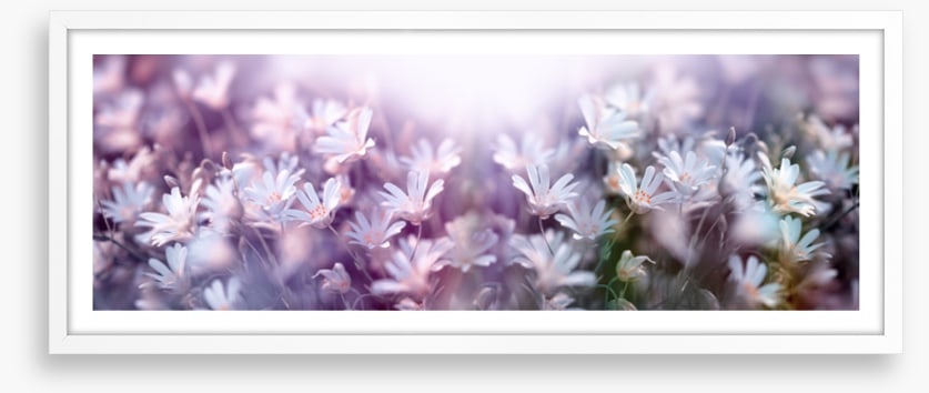 Spring begins panorama