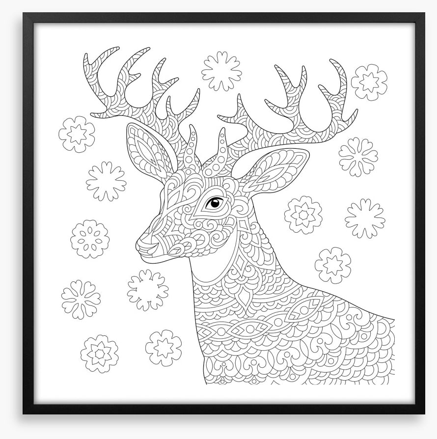 Colour me reindeer