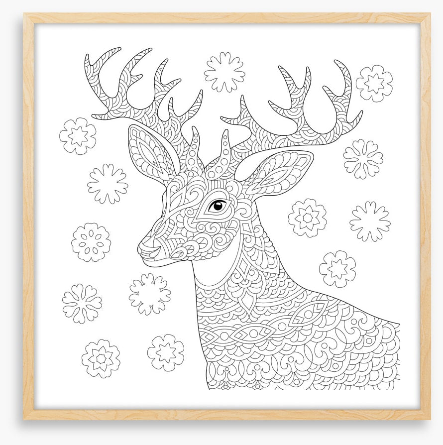 Colour me reindeer