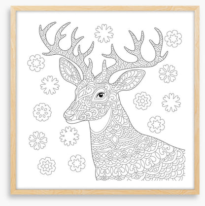 Colour me reindeer