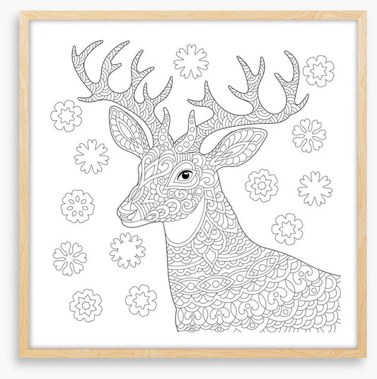 Colour me reindeer