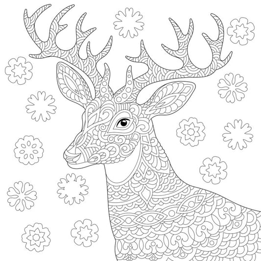 Colour me reindeer