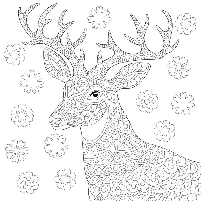 Colour me reindeer