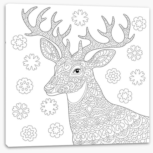 Colour me reindeer