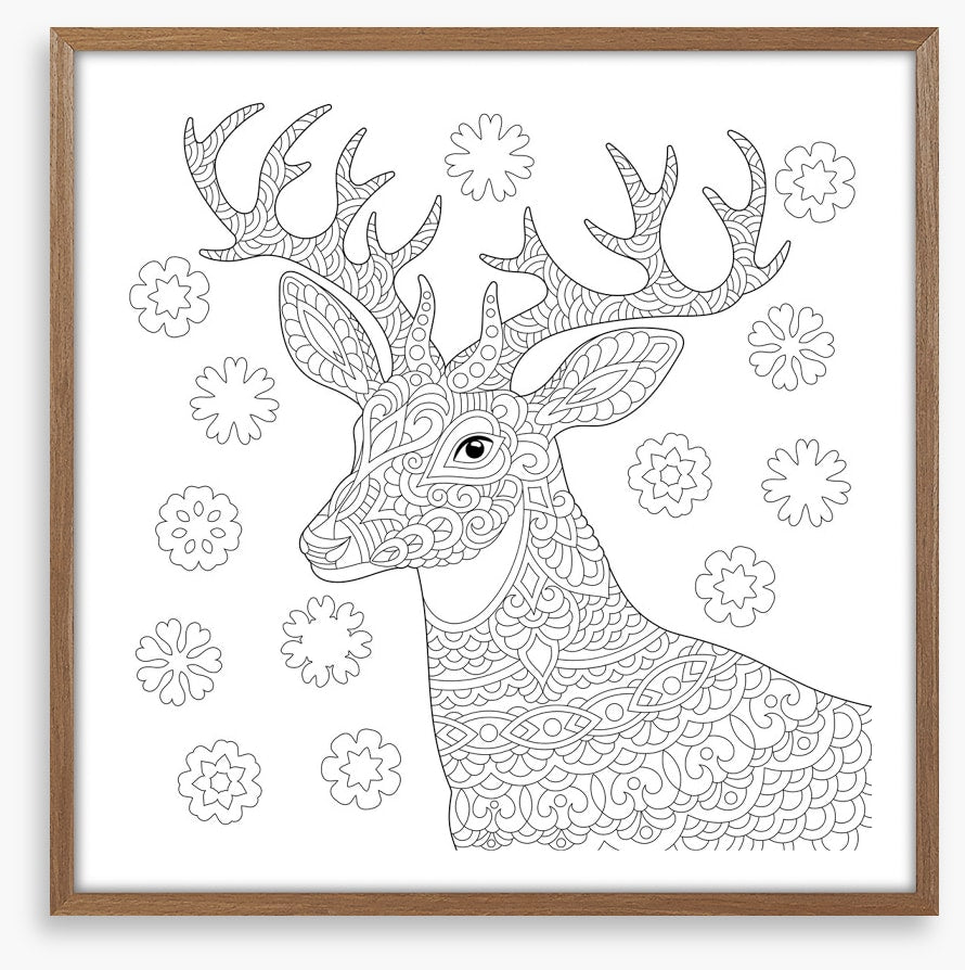 Colour me reindeer
