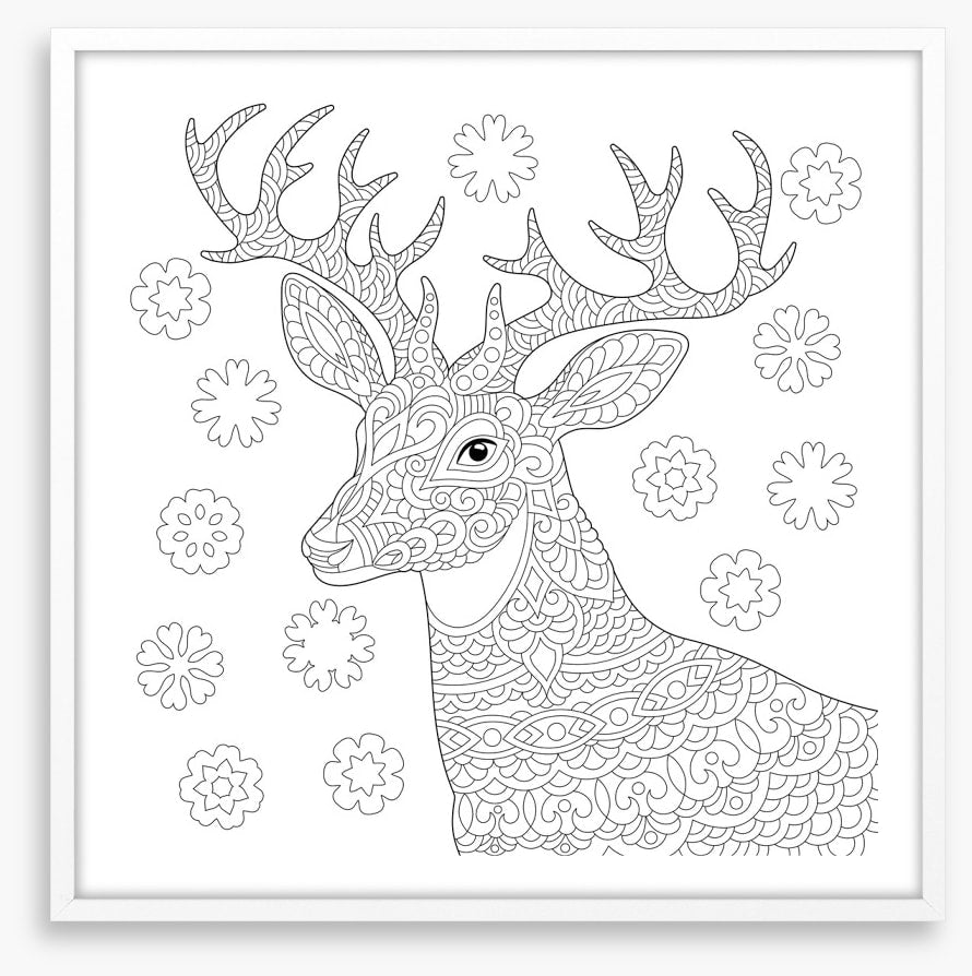 Colour me reindeer